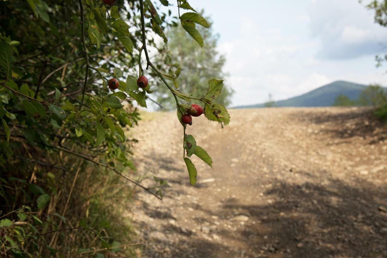 Vila Ostoja Rzyki Exteriér fotografie